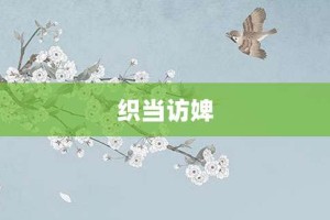 织当访婢【织当访婢的意思】- 成语大全