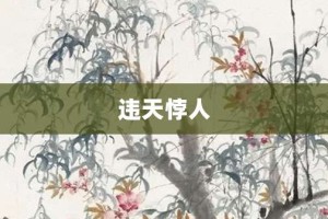 违天悖人【违天悖人的意思】- 成语大全