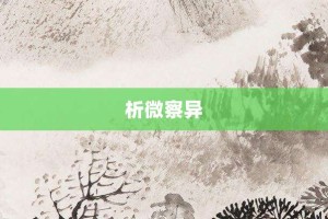 析微察异【析微察异的意思】- 成语大全