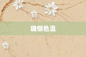 魂慑色沮【魂慑色沮的意思】- 成语大全