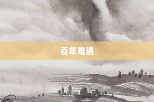 百年难遇【百年难遇的意思】- 成语大全