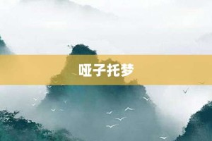 哑子托梦【哑子托梦的意思】- 成语大全