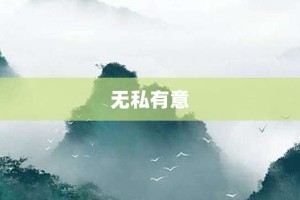 无私有意【无私有意的意思】- 成语大全