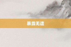 暴露无遗【暴露无遗的意思】- 成语大全