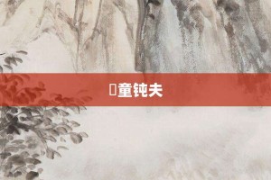 騃童钝夫【騃童钝夫的意思】- 成语大全