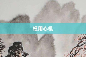 枉用心机【枉用心机的意思】- 成语大全