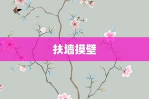 扶墙摸壁【扶墙摸壁的意思】- 成语大全