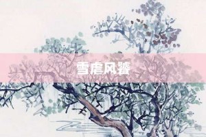 雪虐风饕【雪虐风饕的意思】- 成语大全