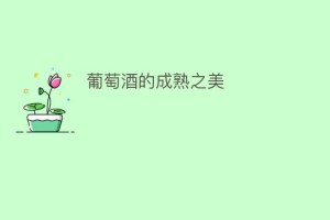 葡萄酒的成熟之美_饮食文化 菊江历史网