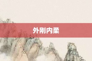 外刚内柔【外刚内柔的意思】- 成语大全