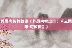外愚内智的故事（外愚内智出自：《三国志·荀攸传》）_成语故事 菊江历史网