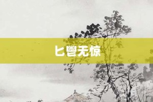 匕鬯无惊【匕鬯无惊的意思】- 成语大全