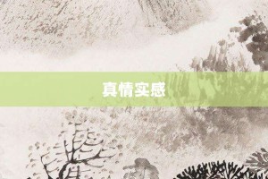 真情实感【真情实感的意思】- 成语大全