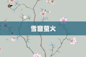 雪窗萤火【雪窗萤火的意思】- 成语大全