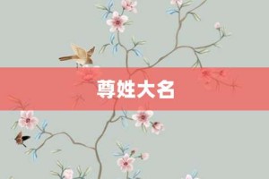 尊姓大名【尊姓大名的意思】- 成语大全
