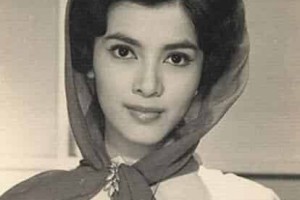 陈思思【原名陈丽梅，中国香港电影演员】 – 人物百科