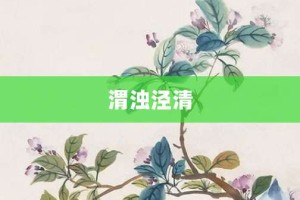 渭浊泾清【渭浊泾清的意思】- 成语大全