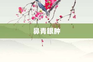 鼻青眼肿【鼻青眼肿的意思】- 成语大全