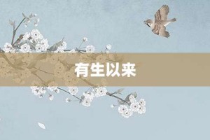 有生以来【有生以来的意思】- 成语大全