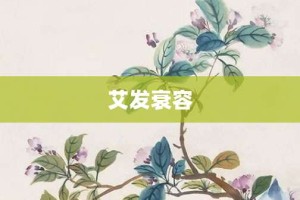 艾发衰容【艾发衰容的意思】- 成语大全