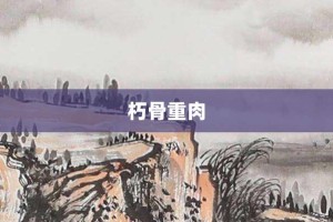 朽骨重肉【朽骨重肉的意思】- 成语大全