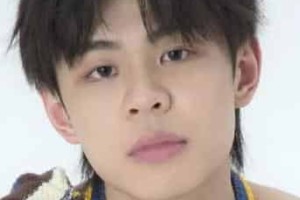 王晨艺【中国内地流行乐男歌手、舞者、舞蹈教师】 – 人物百科