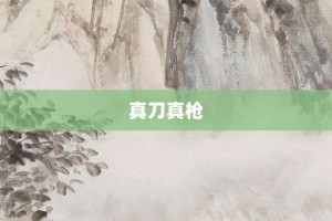 真刀真枪【真刀真枪的意思】- 成语大全
