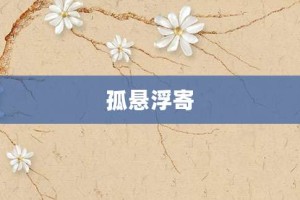 孤悬浮寄【孤悬浮寄的意思】- 成语大全