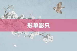 形单影只【形单影只的意思】- 成语大全