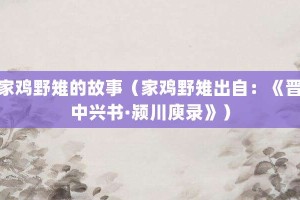 家鸡野雉的故事（家鸡野雉出自：《晋中兴书·颍川庾录》）_成语故事 菊江历史网