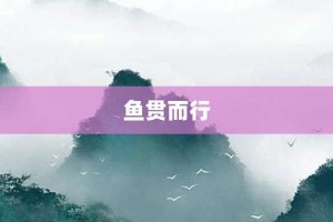 鱼贯而行【鱼贯而行的意思】- 成语大全