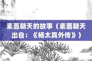 素面朝天的故事（素面朝天出自：《杨太真外传》）_成语故事 菊江历史网