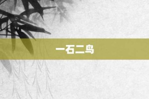 一石二鸟【一石二鸟的意思】- 成语大全