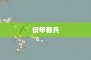 按甲寝兵【按甲寝兵的意思】- 成语大全