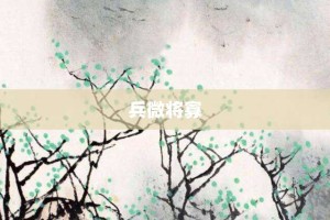 兵微将寡【兵微将寡的意思】- 成语大全