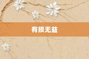 有损无益【有损无益的意思】- 成语大全
