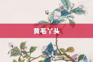 黄毛丫头【黄毛丫头的意思】- 成语大全
