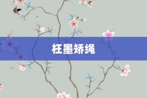 枉墨矫绳【枉墨矫绳的意思】- 成语大全