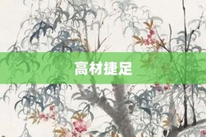 高材捷足【高材捷足的意思】- 成语大全
