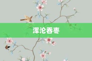 浑沦吞枣【浑沦吞枣的意思】- 成语大全