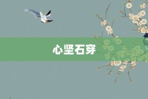 心坚石穿【心坚石穿的意思】- 成语大全