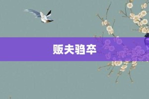 贩夫驺卒【贩夫驺卒的意思】- 成语大全