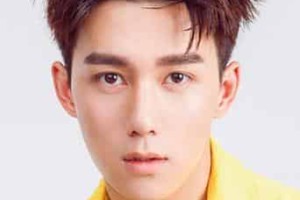 王一哲【中国内地男演员】 – 人物百科