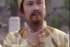 贾政简介_贾政的儿子_贾政的故事_贾政怎么死的 菊江历史网