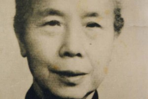 赵君陶简介_赵君陶的儿子_赵君陶的故事_赵君陶怎么死的 菊江历史网