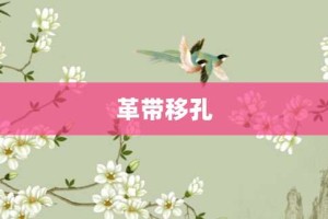 革带移孔【革带移孔的意思】- 成语大全