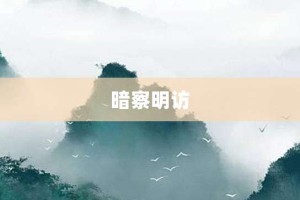 暗察明访【暗察明访的意思】- 成语大全