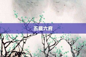 五藏六府【五藏六府的意思】- 成语大全