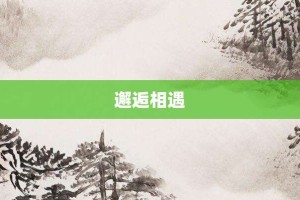 邂逅相遇【邂逅相遇的意思】- 成语大全