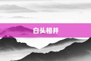 白头相并【白头相并的意思】- 成语大全